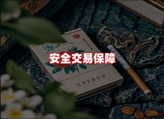 专业团队